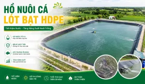 Sản phẩm thi cong ho nuoi ca bang bat hdpe quy trinh chi phi va kinh nghiem thuc te 1 300x173 — Công Ty TNHH Kỹ Thuật Bông Sen Vàng — MST 0312949347