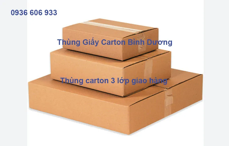 Sản phẩm Thung carton 3 lop giao hang — Công Ty TNHH DV SX TM Bao Bì Lan Anh — MST 0312952678