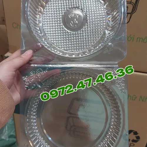Sản phẩm bong lan 485_500x500 — Công Ty TNHH Sản Xuất Thương Mại Bao Bì Thuận Thành — MST 0312961545