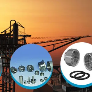 Sản phẩm R917_forged fittings 3000 a105 300x300 — Công Ty TNHH Thương Mại Và Kỹ Thuật Hồng Quang — MST 0312963630