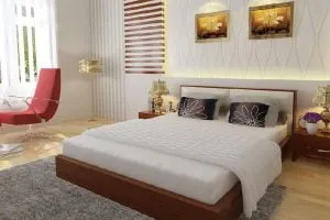 Sản phẩm Giuong ngu va tham trai can doi 300x200 — Công Ty TNHH Trang Trí Nội Thất Bình Sơn — MST 0312965846