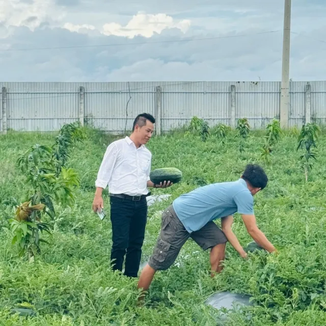 Sản phẩm 8 4489 — Công Ty TNHH Sản Xuất Thương Mại Diệp Gia — MST 0312987092