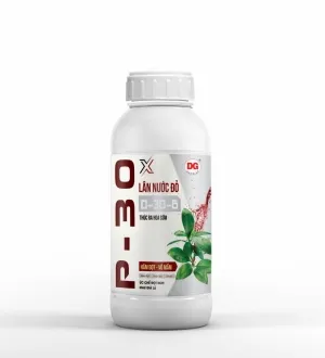 Sản phẩm p30 4806 — Công Ty TNHH Sản Xuất Thương Mại Diệp Gia — MST 0312987092
