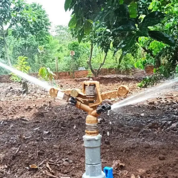 Sản phẩm 34977647 — Công Ty TNHH Thương Mại Và Dịch Vụ Việt An Nông — MST 0312991941