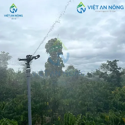 Sản phẩm 38454048 — Công Ty TNHH Thương Mại Và Dịch Vụ Việt An Nông — MST 0312991941