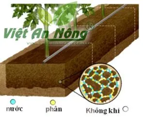 Sản phẩm 68094004 — Công Ty TNHH Thương Mại Và Dịch Vụ Việt An Nông — MST 0312991941