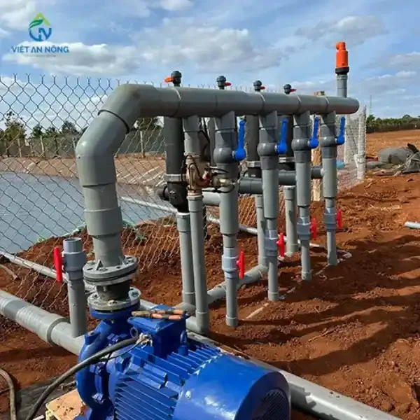 Sản phẩm 53020864 — Công Ty TNHH Thương Mại Và Dịch Vụ Việt An Nông — MST 0312991941