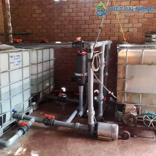 Sản phẩm 71944404 — Công Ty TNHH Thương Mại Và Dịch Vụ Việt An Nông — MST 0312991941