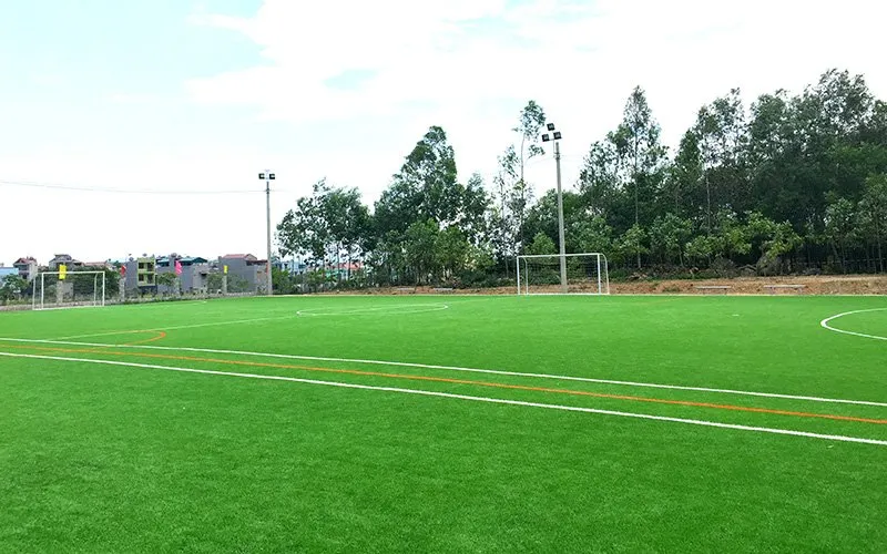 Sản phẩm Thi cong san co nhan tao — Công Ty TNHH Đầu Tư Thương Mại Xuất Nhập Khẩu Trình Thuận Phát — MST 0313005856