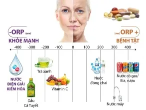 Sản phẩm [330x220 fma]may loc nuoc ion kiem giau hydrogen co tot cho suc khoe — Công TNHH Thương Mại và Dịch Vụ Quốc Tế Tâm Sáng — MST 0313023975