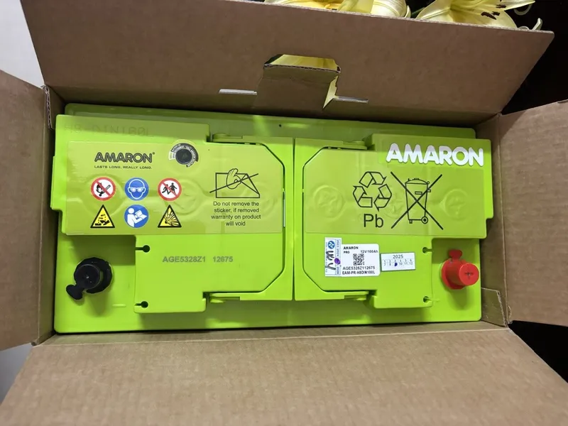 Sản phẩm AMARON DIN100L.1 e1773997139988 — Công Ty TNHH MTV Thương Mại Dịch Vụ Ngọc Phúc Long — MST 0313027225