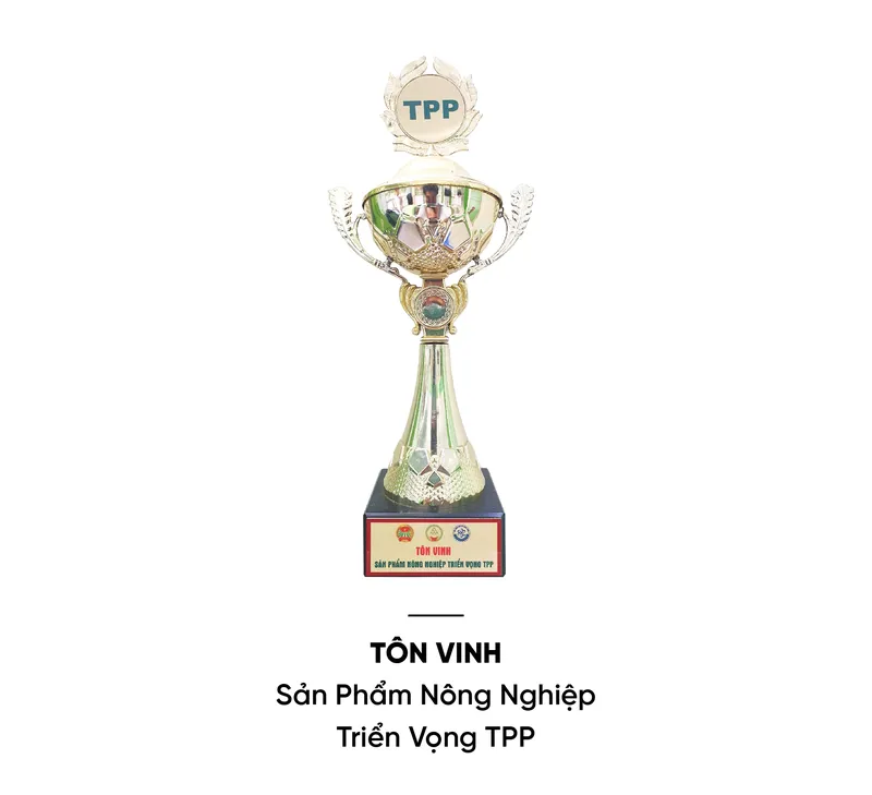 Sản phẩm 26082020 homepage nhang xanh 29 — Công Ty Cổ Phần Nhang Thiền — MST 0313037061