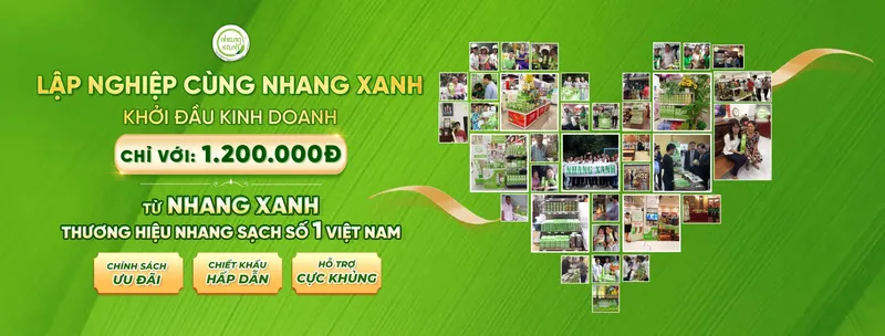 Sản phẩm lap nghiep web — Công Ty Cổ Phần Nhang Thiền — MST 0313037061