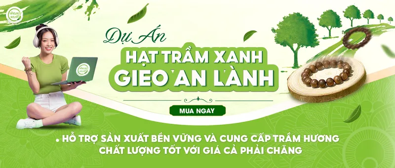Sản phẩm cover hat tram xanh — Công Ty Cổ Phần Nhang Thiền — MST 0313037061