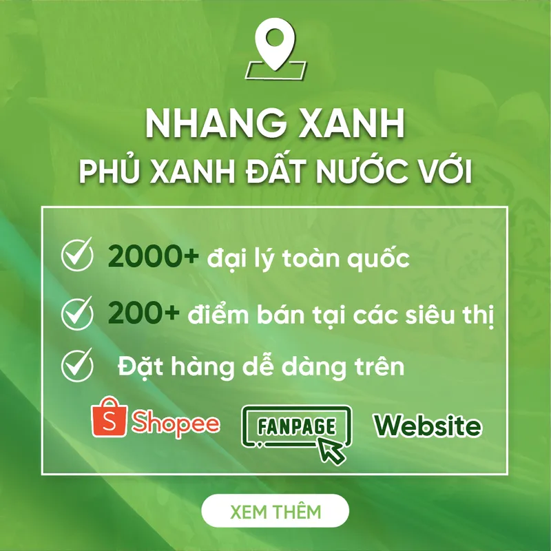 Sản phẩm 2 — Công Ty Cổ Phần Nhang Thiền — MST 0313037061