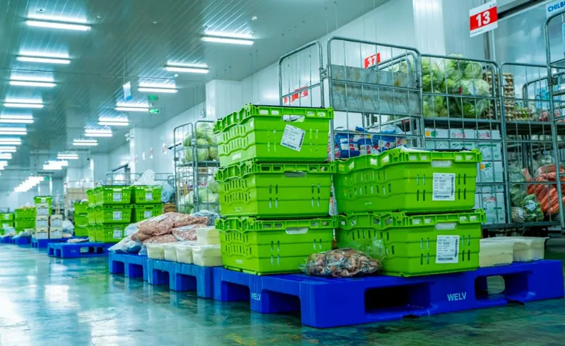Sản phẩm kho bao quan nong san 5 — Công Ty CP Cơ Điện Lạnh Miền Nam — MST 0313044830