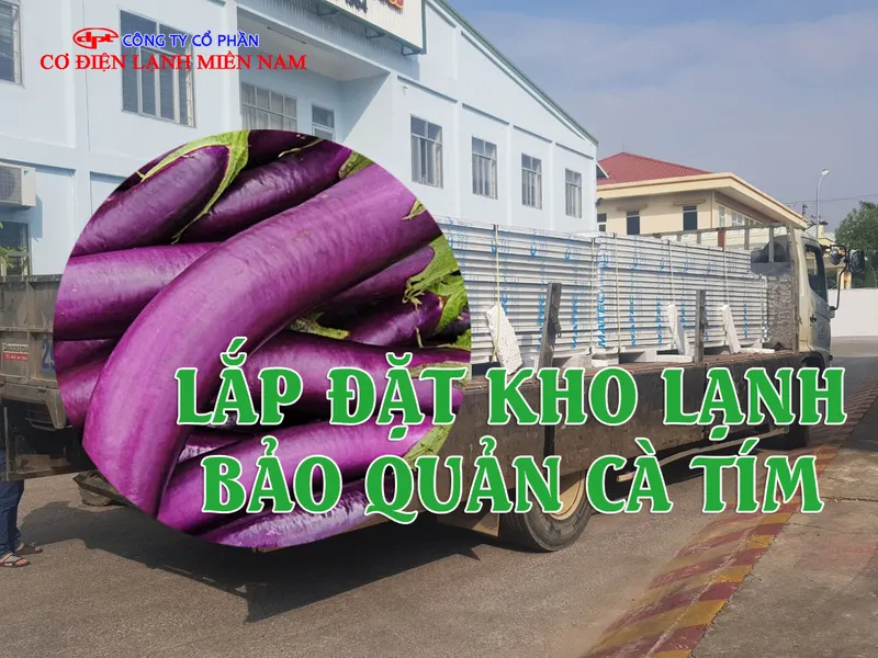 Sản phẩm lap dat kho lanh bao quan ca tim 1 — Công Ty CP Cơ Điện Lạnh Miền Nam — MST 0313044830