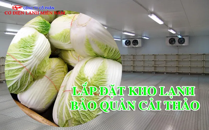 Sản phẩm lap dat kho lanh bao quan cai thao 1 — Công Ty CP Cơ Điện Lạnh Miền Nam — MST 0313044830