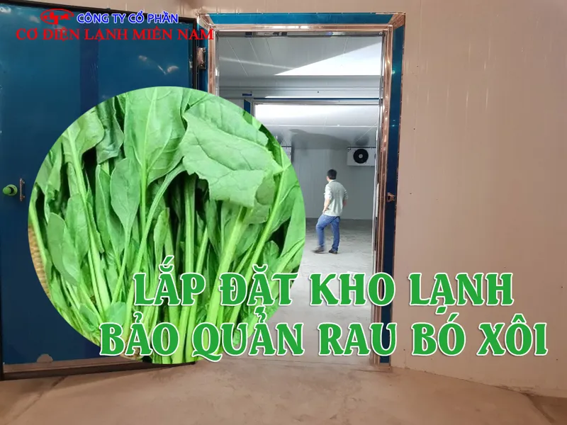 Sản phẩm lap dat kho lanh bao quan rau bo xoi 1 — Công Ty CP Cơ Điện Lạnh Miền Nam — MST 0313044830