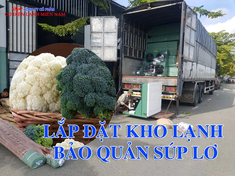 Sản phẩm lap dat kho lanh bao quan sup lo 1 — Công Ty CP Cơ Điện Lạnh Miền Nam — MST 0313044830