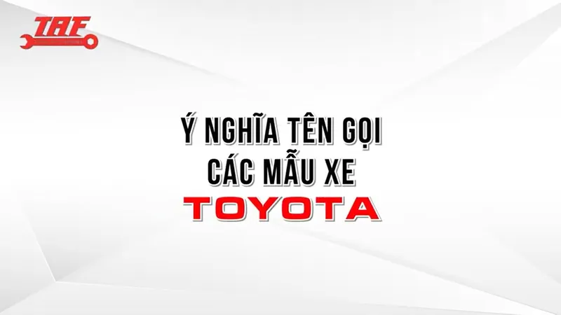 Sản phẩm cac dong xe ten — Công Ty TNHH Toyota An Thành Fukushima — MST 0313064322