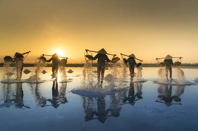 Sản phẩm governance — Công Ty TNHH Tư Vấn AC&C — MST 0313075645