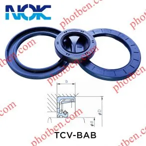 Sản phẩm TCV BAB 293x293 — Gioăng Phớt Phúc Khang - Công Ty TNHH Thương Mại Kỹ Thuật Phúc Khang — MST 0313076247