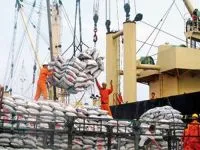 Sản phẩm boc xep hang roi cau noi 48ce4b20 — Công Ty TNHH Thành Đạt SSC — MST 0313080998
