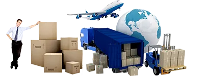 Sản phẩm company info r — Công Ty TNHH Thành Đạt SSC — MST 0313080998