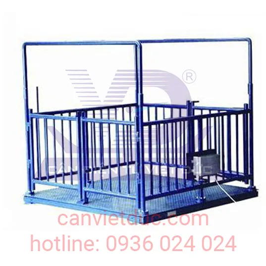 Sản phẩm can cong gnhie copy — Công Ty TNHH Cân Điện Tử Việt Đức — MST 0313087369