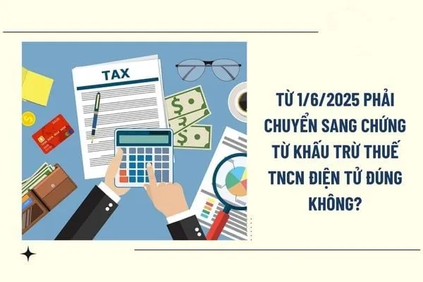 Sản phẩm phai chuyen sang chung tu khau tru thue tncn dien tu — Công Ty TNHH Thương Mại Ngô Trần — MST 0313091206