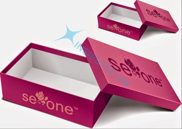 Sản phẩm dac diem hop giay — Công Ty TNHH Sản Xuất Thương Mại Dịch Vụ Hoa Sen Việt — MST 0313096606