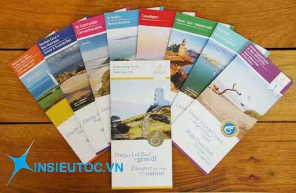 Sản phẩm cac loai to roi — Công Ty TNHH Sản Xuất Thương Mại Dịch Vụ Hoa Sen Việt — MST 0313096606