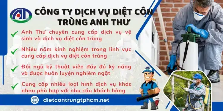 Văn phòng Công Ty TNHH Thương Mại Và Phát Triển Anh Thư #? — MST 0313103275