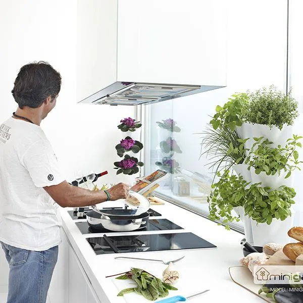 Sản phẩm Khung Module Goc Minigarden 600x600 — Công Ty TNHH Khang Ngọc Khánh — MST 0313116186