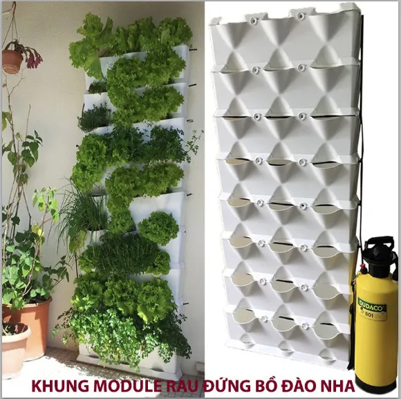 Sản phẩm chau nhua trong rau dung nhap khau Chau Au — Công Ty TNHH Khang Ngọc Khánh — MST 0313116186