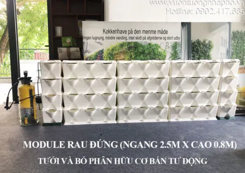 Sản phẩm tu trong rau sach tai nha rau dung vertical nhap khau 4 480x340 — Công Ty TNHH Khang Ngọc Khánh — MST 0313116186