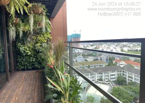 Sản phẩm cay xanh ban cong dung chau nhap khau co tuoi tu dong chi linh 1 480x340 — Công Ty TNHH Khang Ngọc Khánh — MST 0313116186