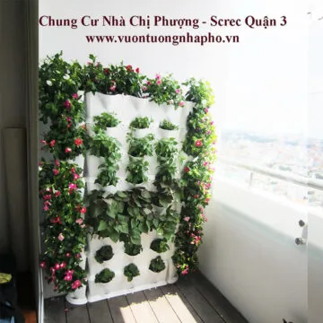 Sản phẩm chau trong rau dung ban cong chi phuong 4 360x360 — Công Ty TNHH Khang Ngọc Khánh — MST 0313116186