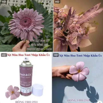 Sản phẩm son xit hoa florist nhap khau Uc mau hong tro 2511 5 360x360 — Công Ty TNHH Khang Ngọc Khánh — MST 0313116186