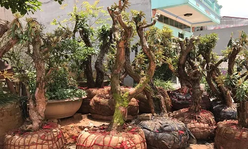 Sản phẩm 674982480273 — Vận Tải Nam Hải Phú - Công Ty TNHH Nam Hải Phú — MST 0313120658