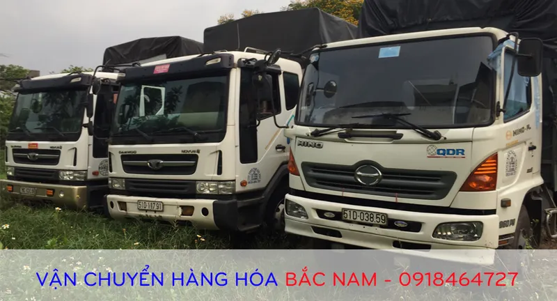 Sản phẩm 872428208734 — Vận Tải Nam Hải Phú - Công Ty TNHH Nam Hải Phú — MST 0313120658