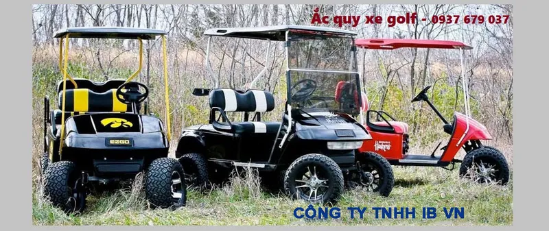 Sản phẩm c quy xe golf 0342 — Công Ty TNHH International Battery — MST 0313131723