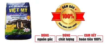 Sản phẩm 429073848466_427x183 — Sơn Bến Thành - Công Ty TNHH TMDV Sơn Bến Thành — MST 0313132276