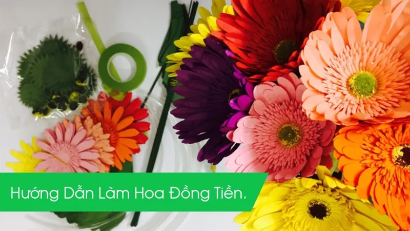 Sản phẩm THUMBNAIL VIDEO hoa dong tien — Công Ty TNHH Vinacraft — MST 0313140654