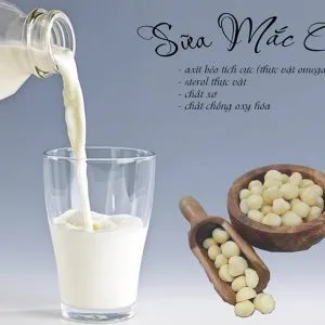 Sản phẩm Gia Cong Sua hat Macca 300x300 — Công Ty TNHH Đầu Tư Và Phát Triển Agrifood — MST 0313145557