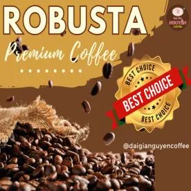 Sản phẩm 2249 robusta chat luong cao 3f972_276_276 — Công Ty TNHH SX TM DV Cà Phê Đại Gia Nguyễn — MST 0313150797