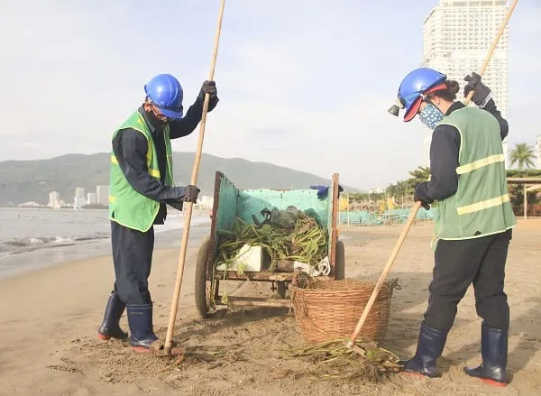Sản phẩm don rac quy nhon — Công Ty TNHH Avon Tiên Phong — MST 0313168829