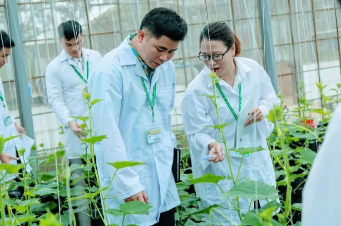 Sản phẩm hoc nong nghiep — Công Ty TNHH Avon Tiên Phong — MST 0313168829