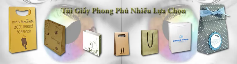 Sản phẩm Tui giay Phong Phu Nhieu Lua Chon — Công Ty TNHH Bao Bì Giấy Nam Việt — MST 0313172832